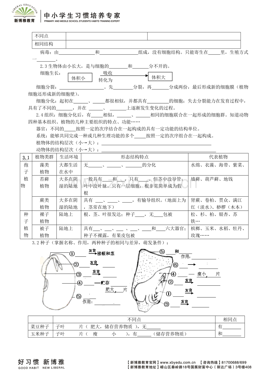 初中生物中考总复习-重要知识点(图、表等)-人教版197.pdf_第3页