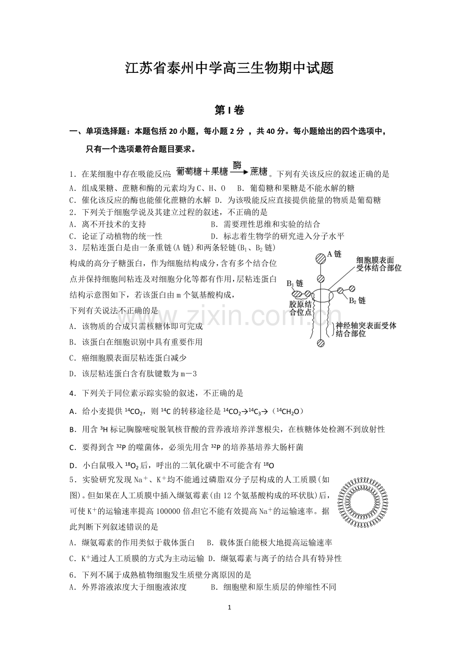 江苏省泰州中学2013届高三上学期期中考试生物.doc_第1页