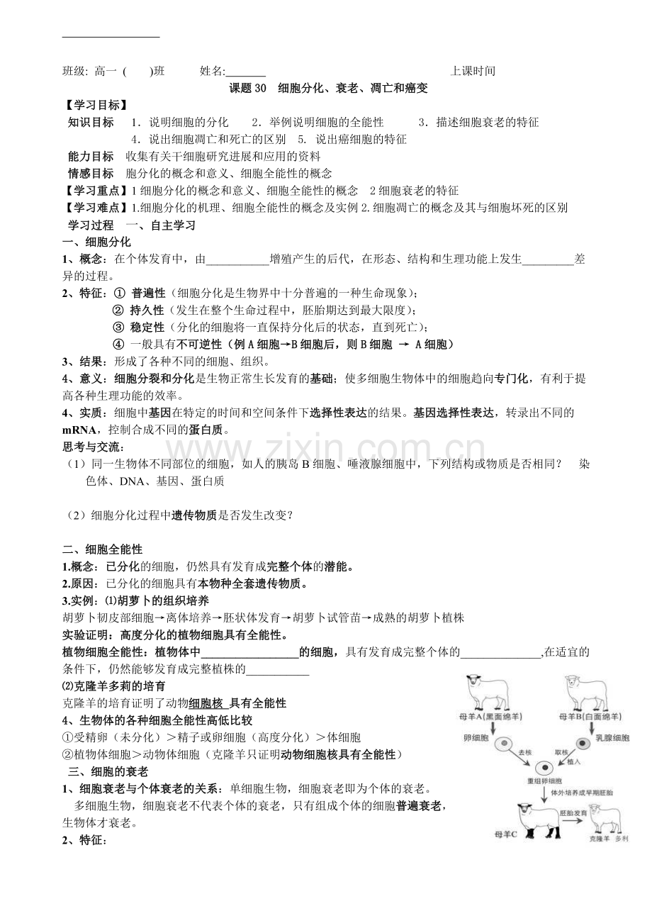 细胞分化、衰老、凋亡和癌变.doc_第1页