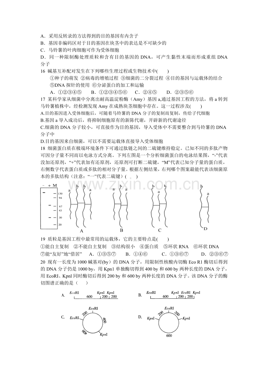 高中生物选修3-专题1基因工程-单元练习题.doc_第3页