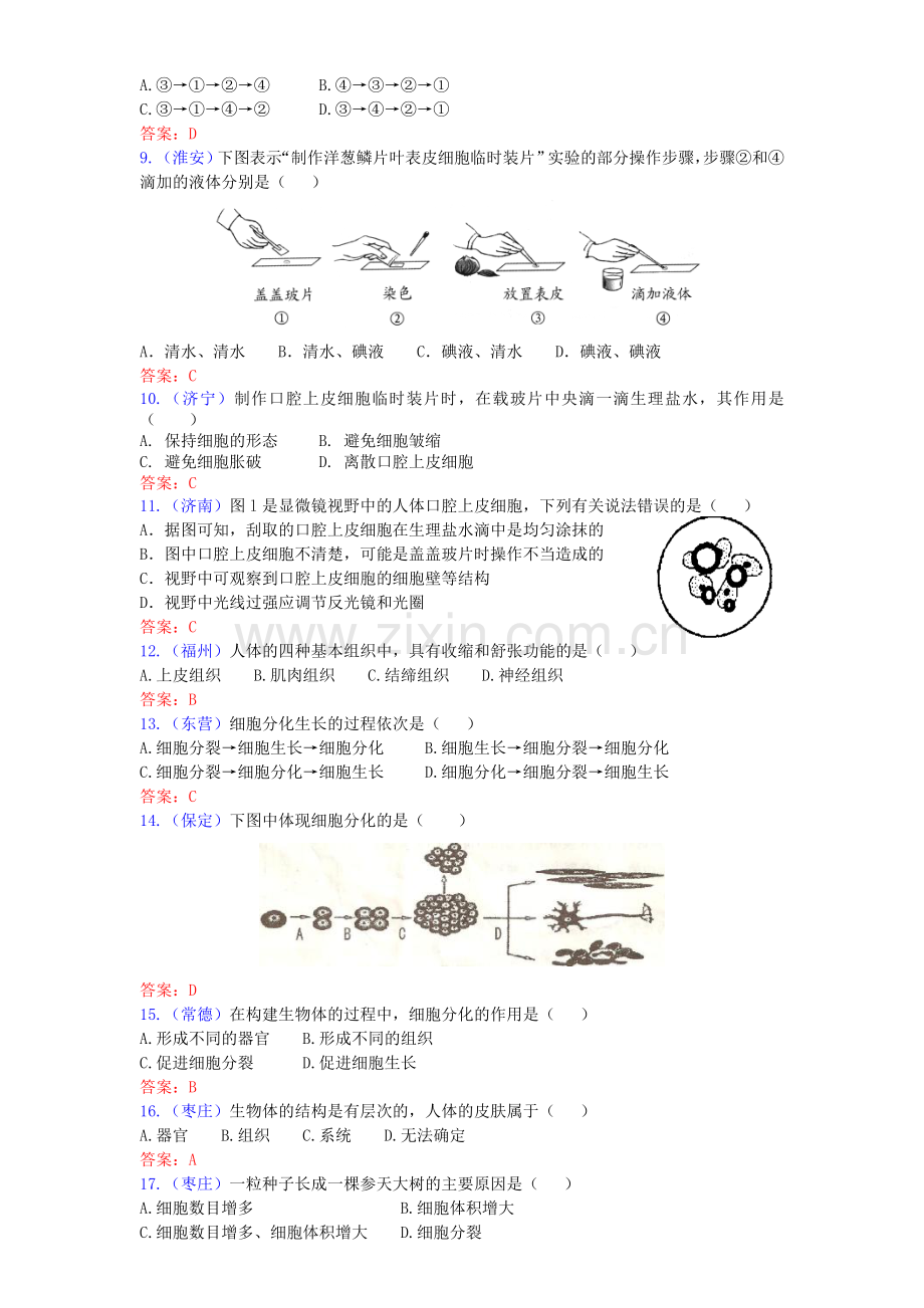 -中考生物试题汇编生物体的结构层次.doc_第2页