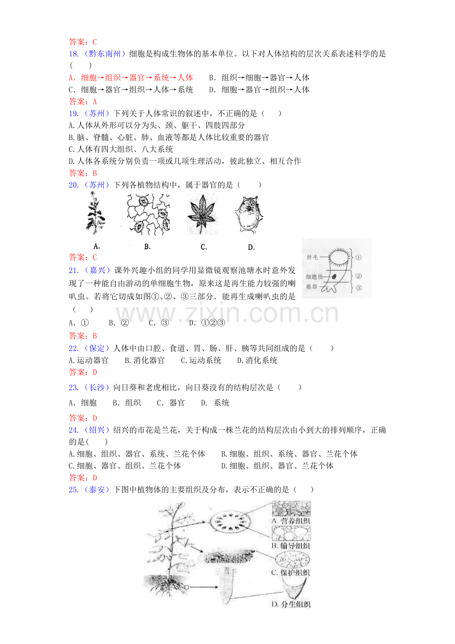 -中考生物试题汇编生物体的结构层次.doc_第3页