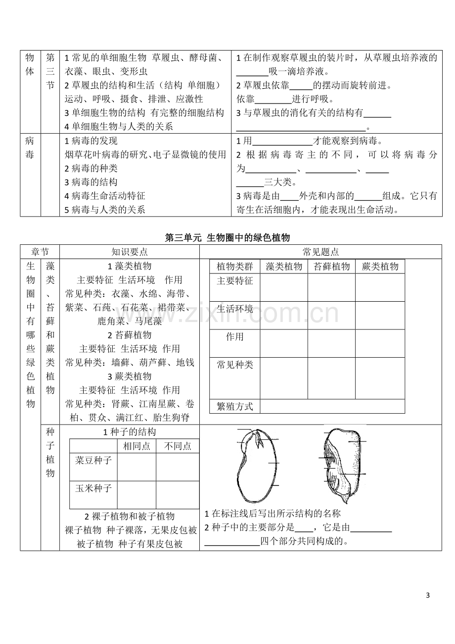 初中生物总复习(全套教案兼学案).doc_第3页