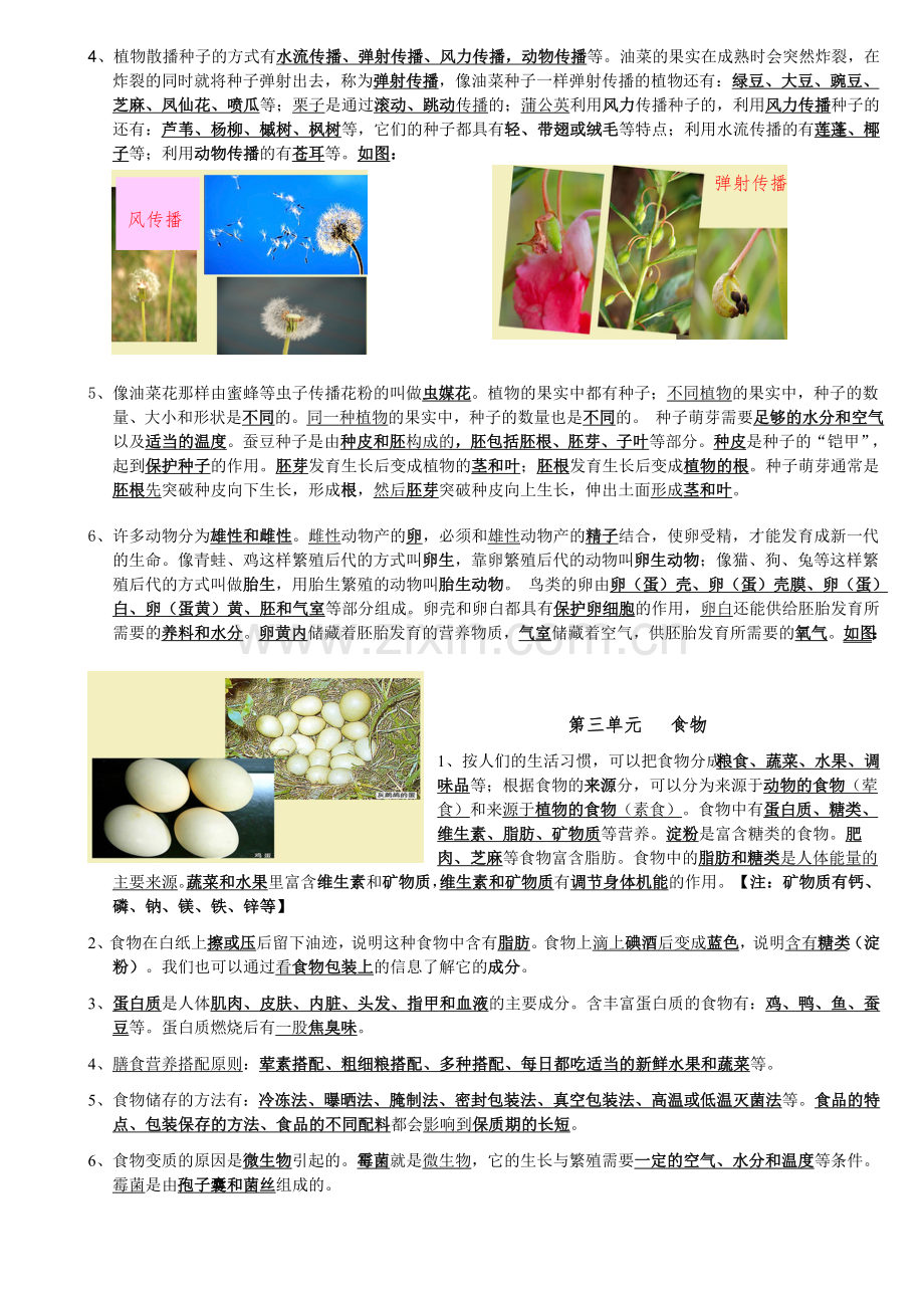 教科版四年级下册科学复习资料(精排).doc_第3页