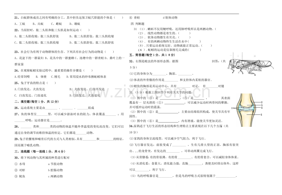 8开考试试卷模板.doc_第2页