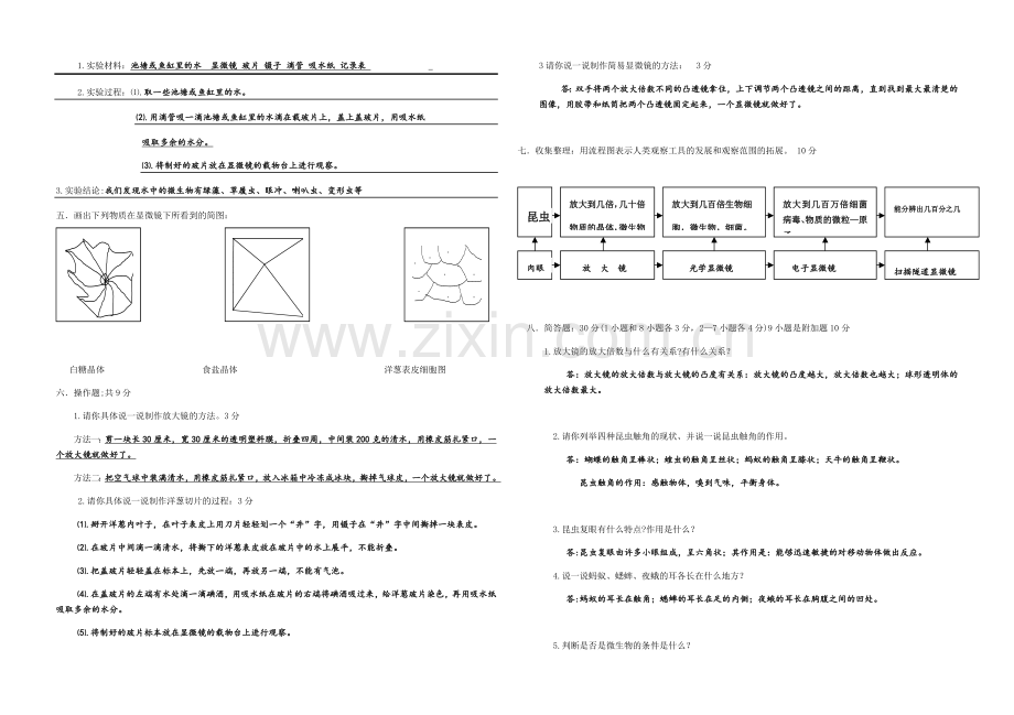 教科版六年级科学下册单元复习检测试题.doc_第2页