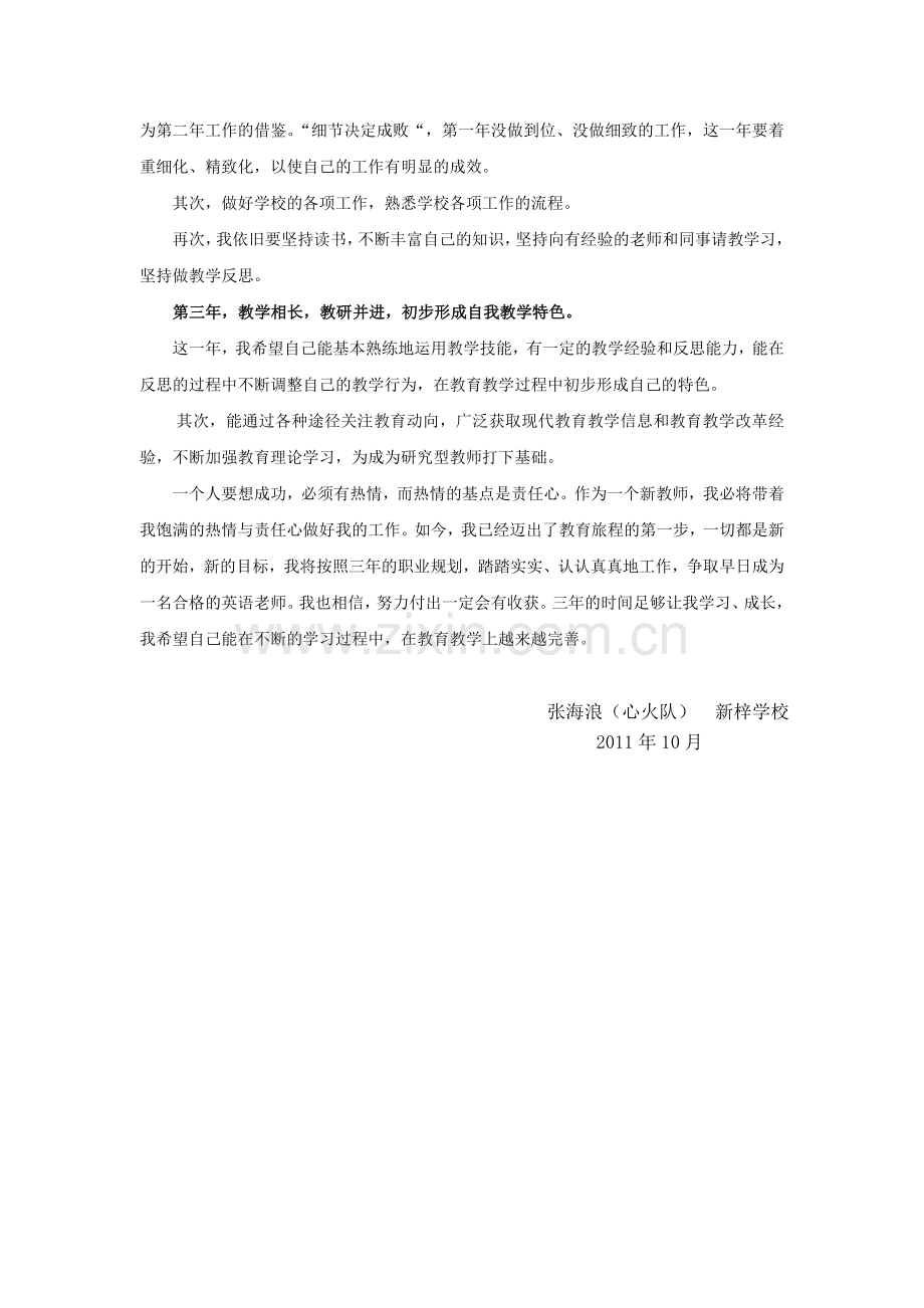 教师三年职业规划.doc_第3页