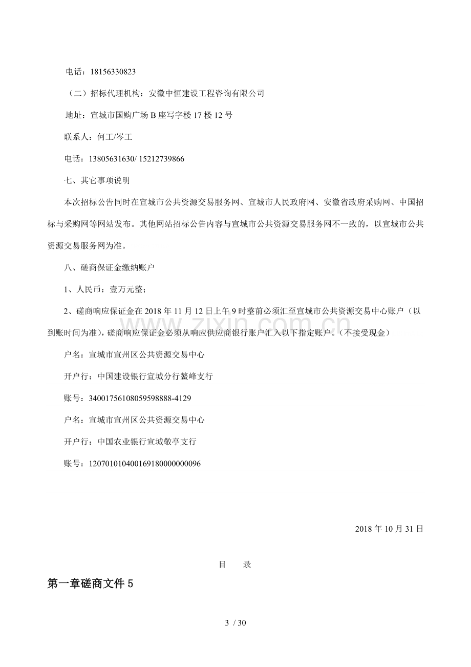 宣城市政府采购服务类竞争性磋商文件.doc_第3页