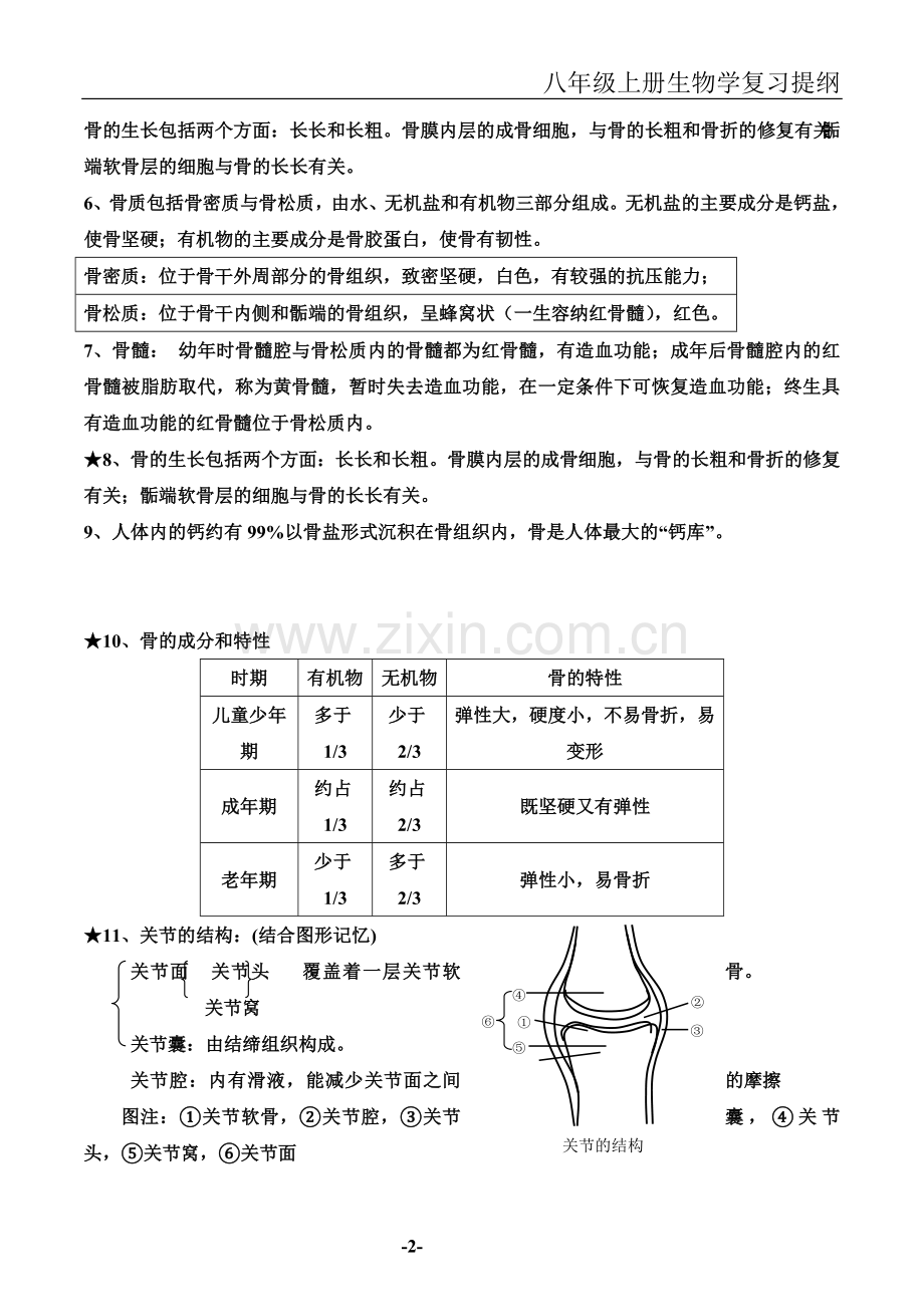 北师大版八年级上册生物知识点总结-(2).doc_第2页