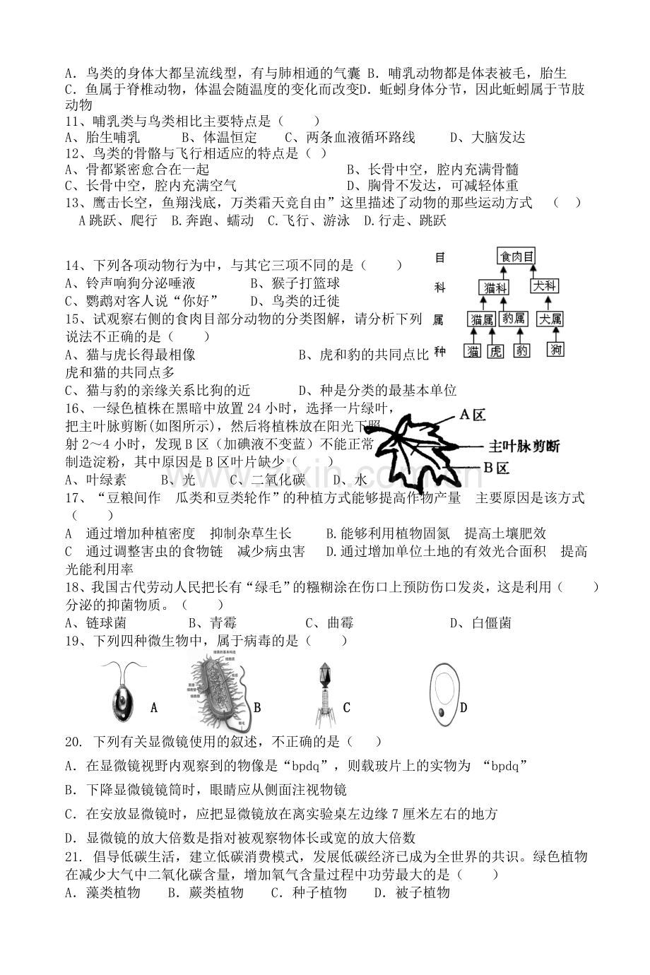 济南版七年级生物上册期末测试题.doc_第2页