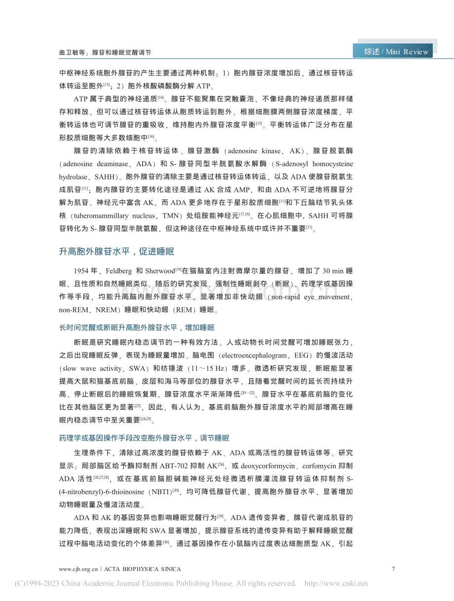 腺苷和睡眠觉醒调节.pdf_第3页