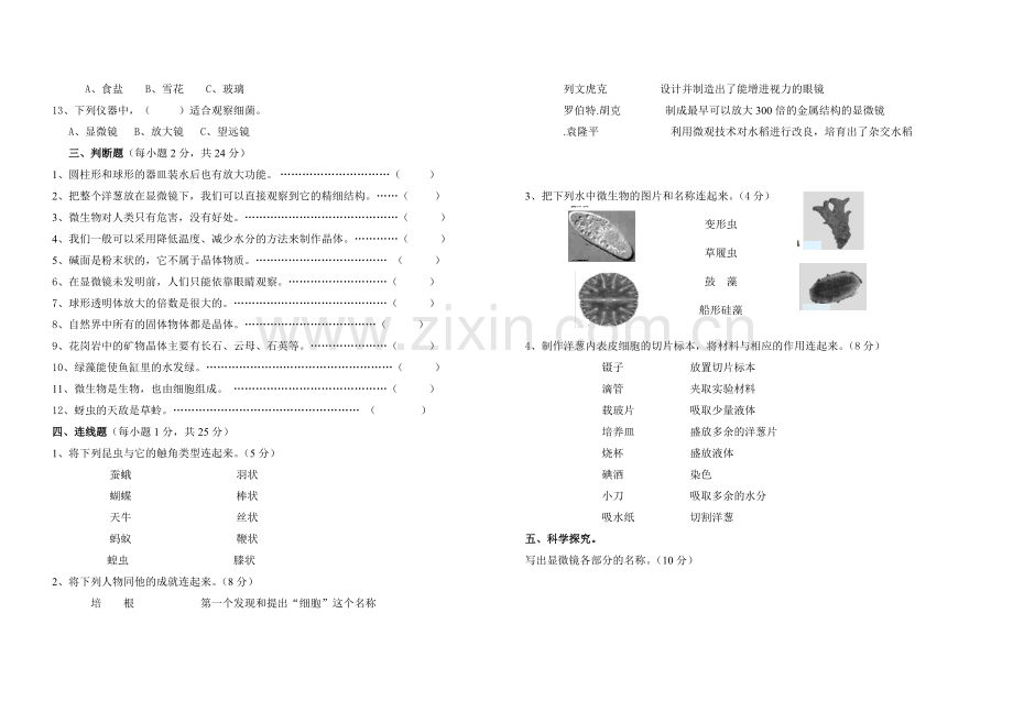 教科版小学科学六年级下册第一单元试卷.doc_第2页