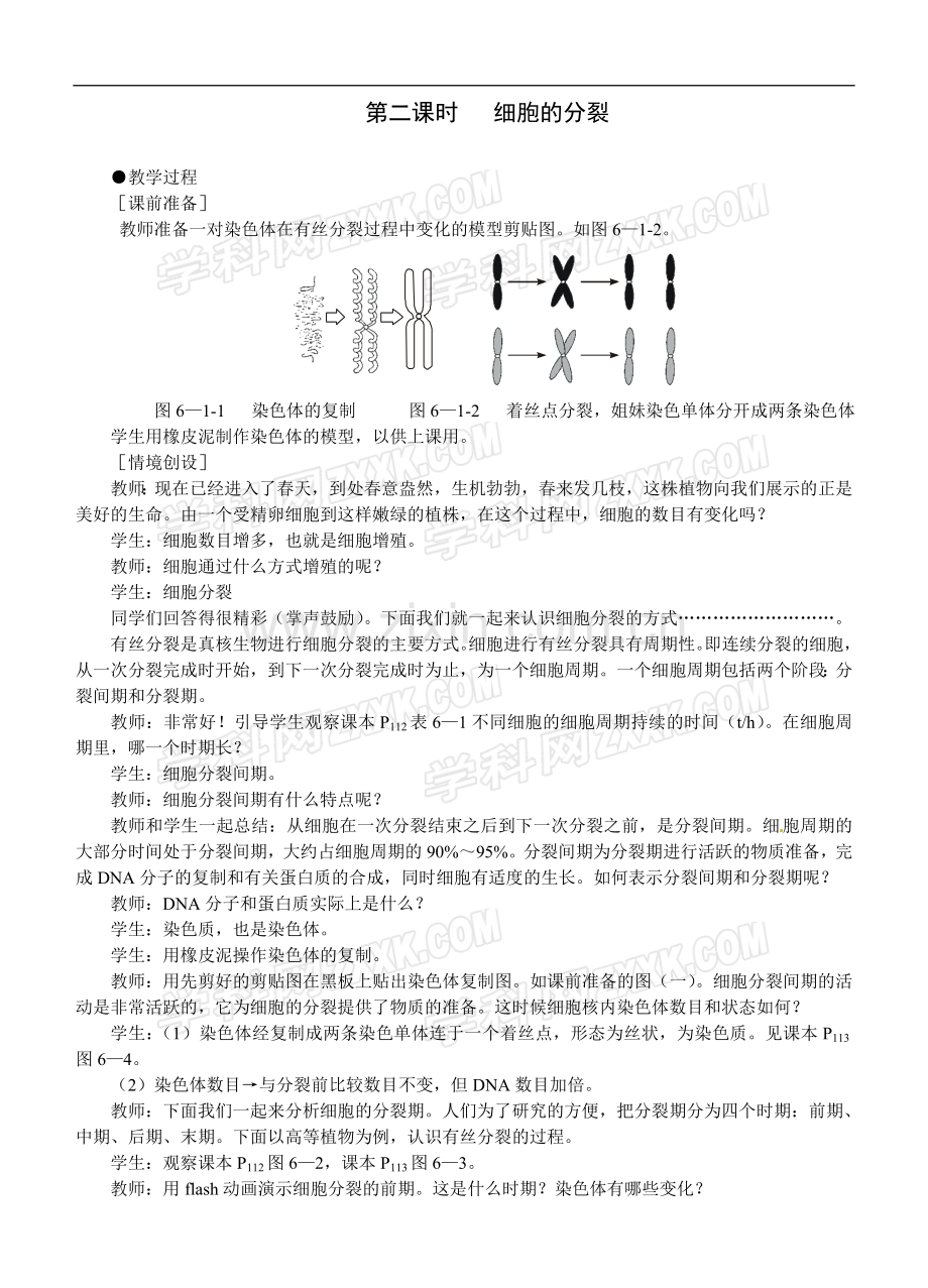 教案(细胞的增殖第2课时).doc_第1页