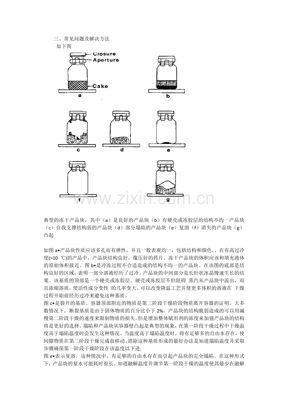 冻干工艺基础及经验汇总.doc_第3页