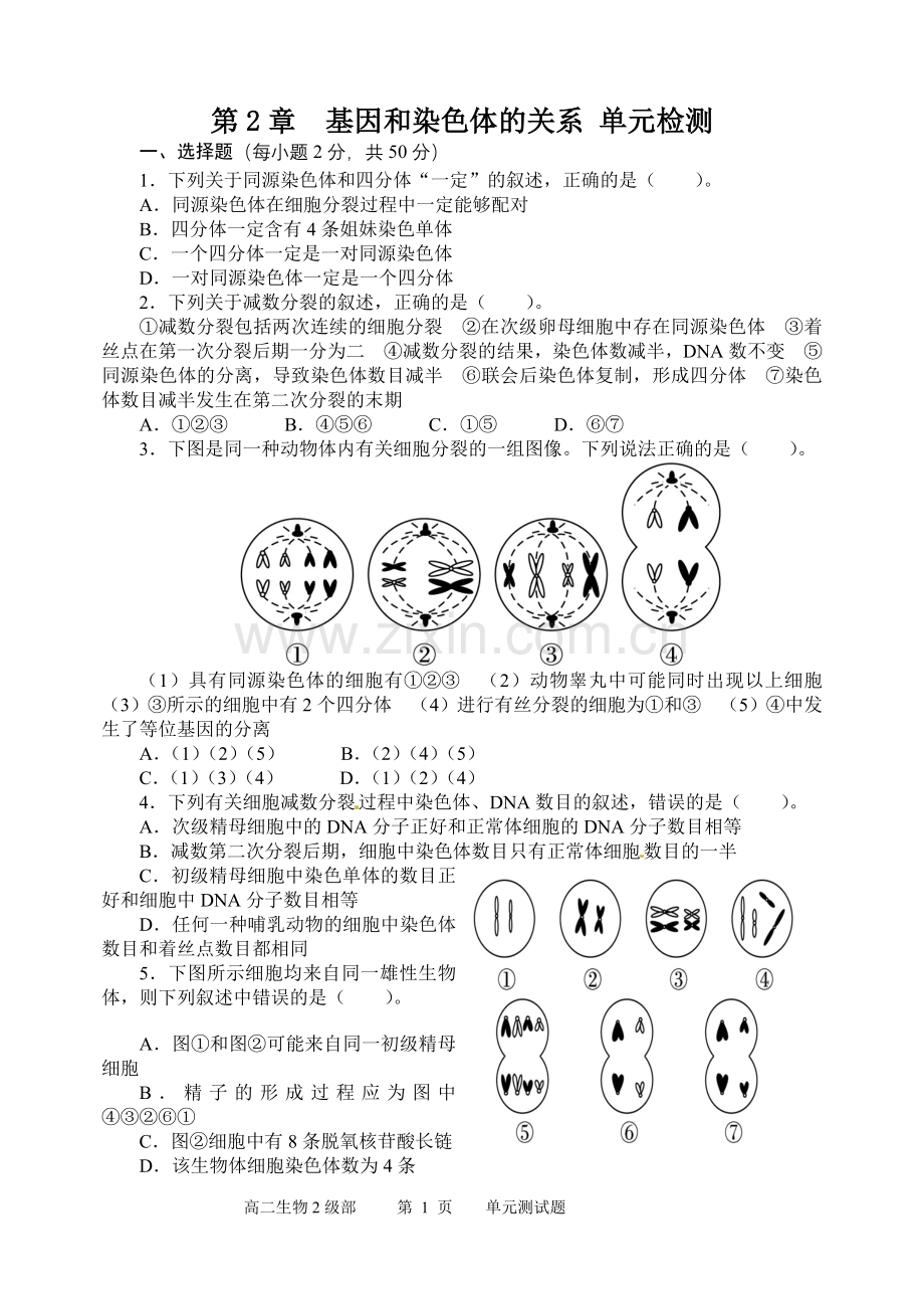 第二章基因和染色体的关系测试题.doc_第1页