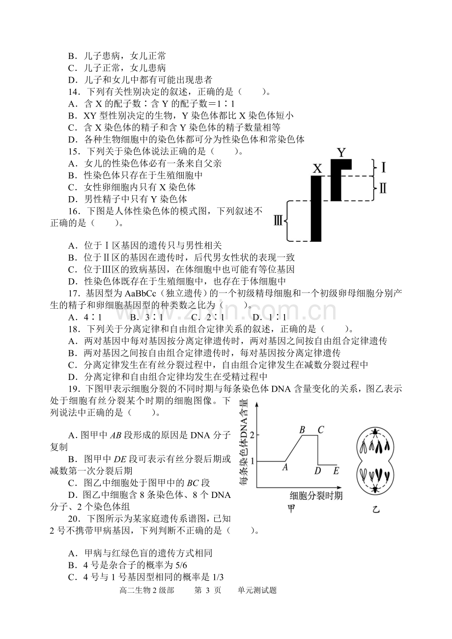 第二章基因和染色体的关系测试题.doc_第3页