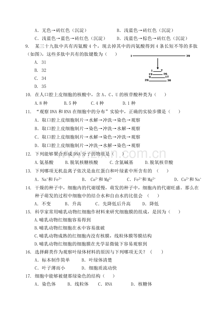 生物必修1经典试卷及答案.doc_第2页