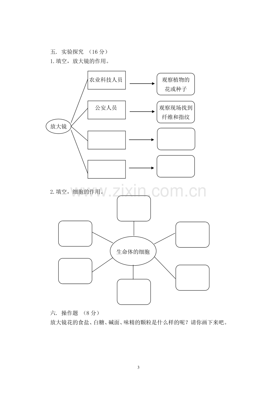 教科版六年级科学下册第一单元测试卷.doc_第3页