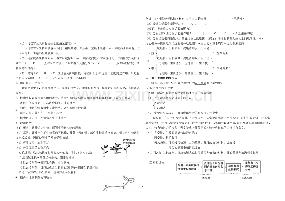 植物的激素调节知识点.doc_第2页