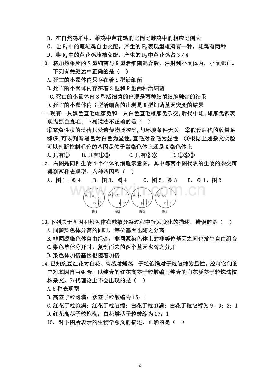 生物必修二前三章练习及答案.doc_第2页