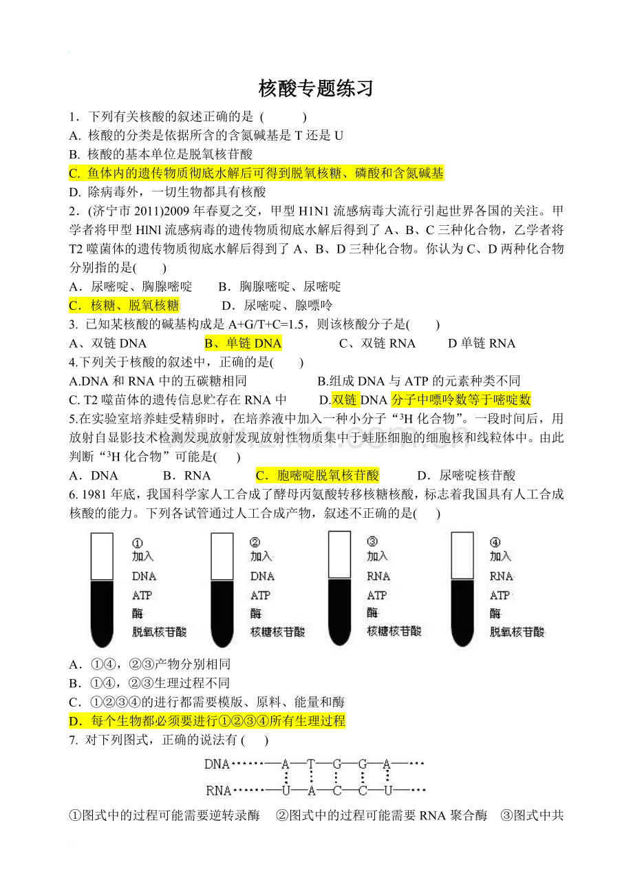 核酸练习题及答案.doc_第1页