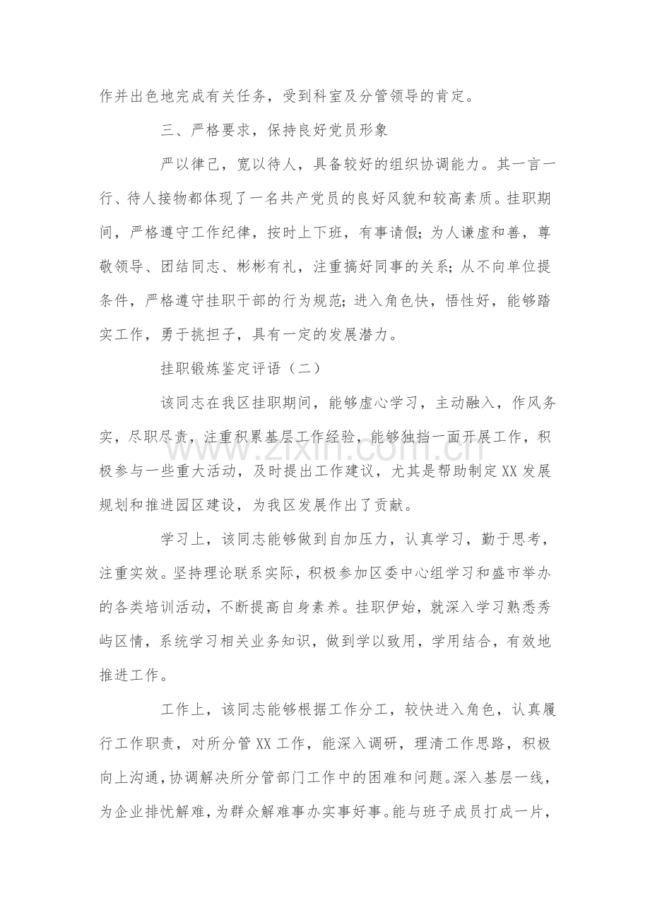 关于挂职锻炼的鉴定评语.doc_第2页