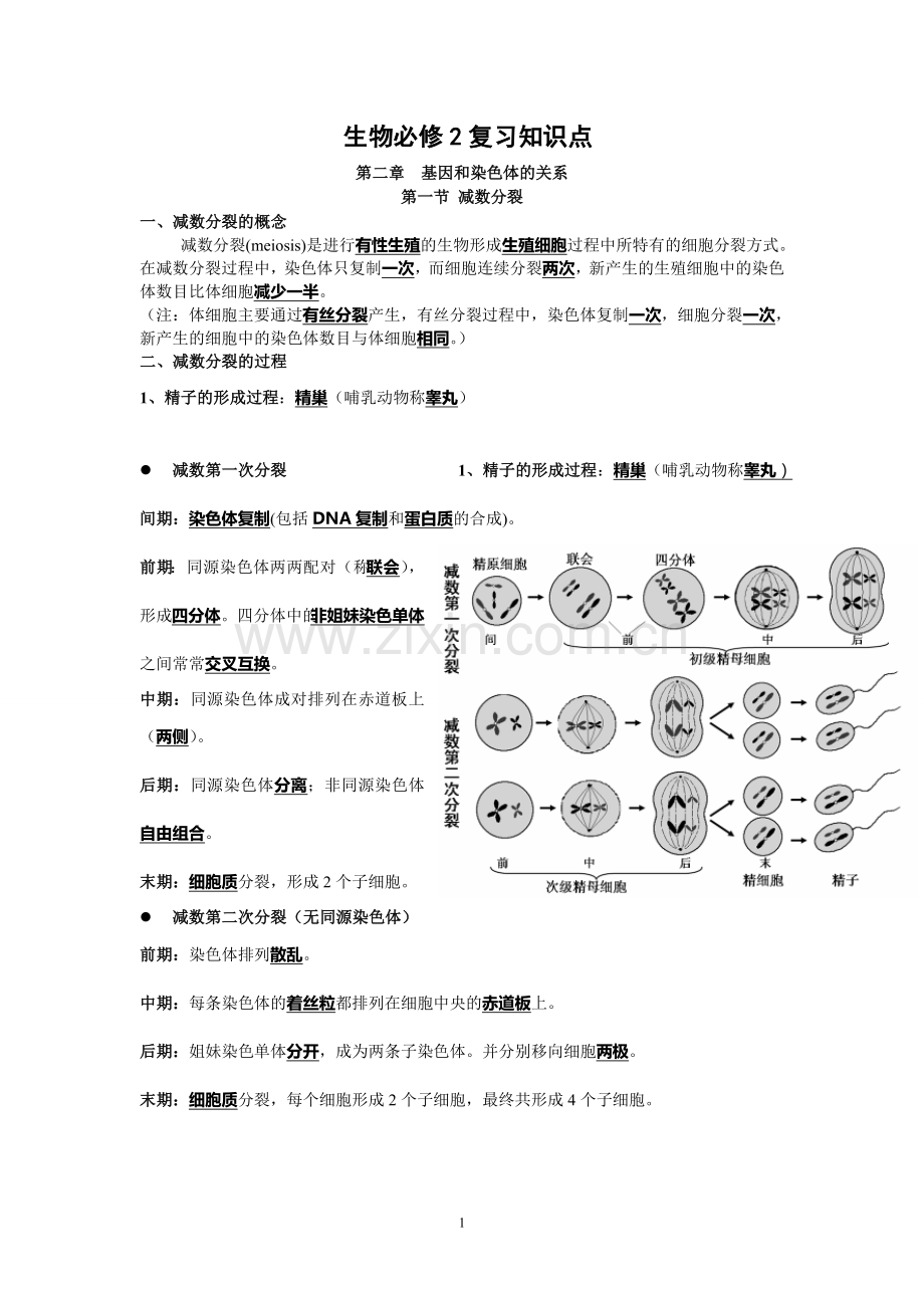 高中生物必修二知识点总结(2).doc_第1页