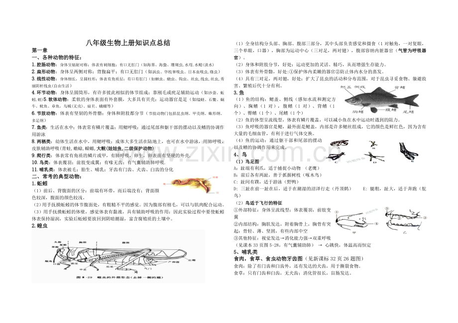 人教版八年级生物上册知识点总结.doc_第1页