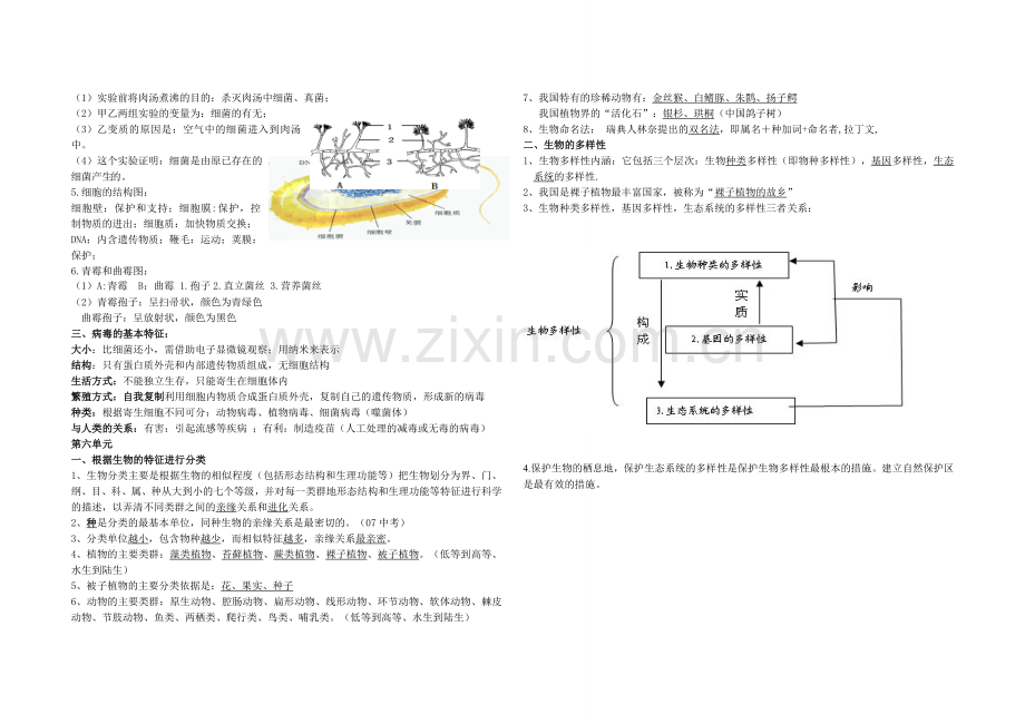 人教版八年级生物上册知识点总结.doc_第3页