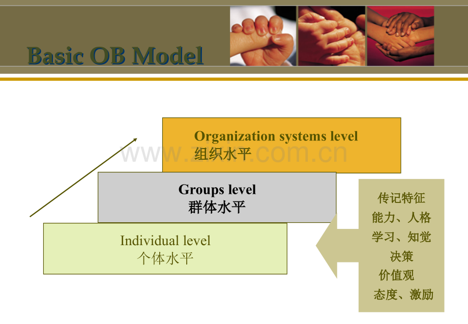 第七章-群体行为的基础.ppt_第2页