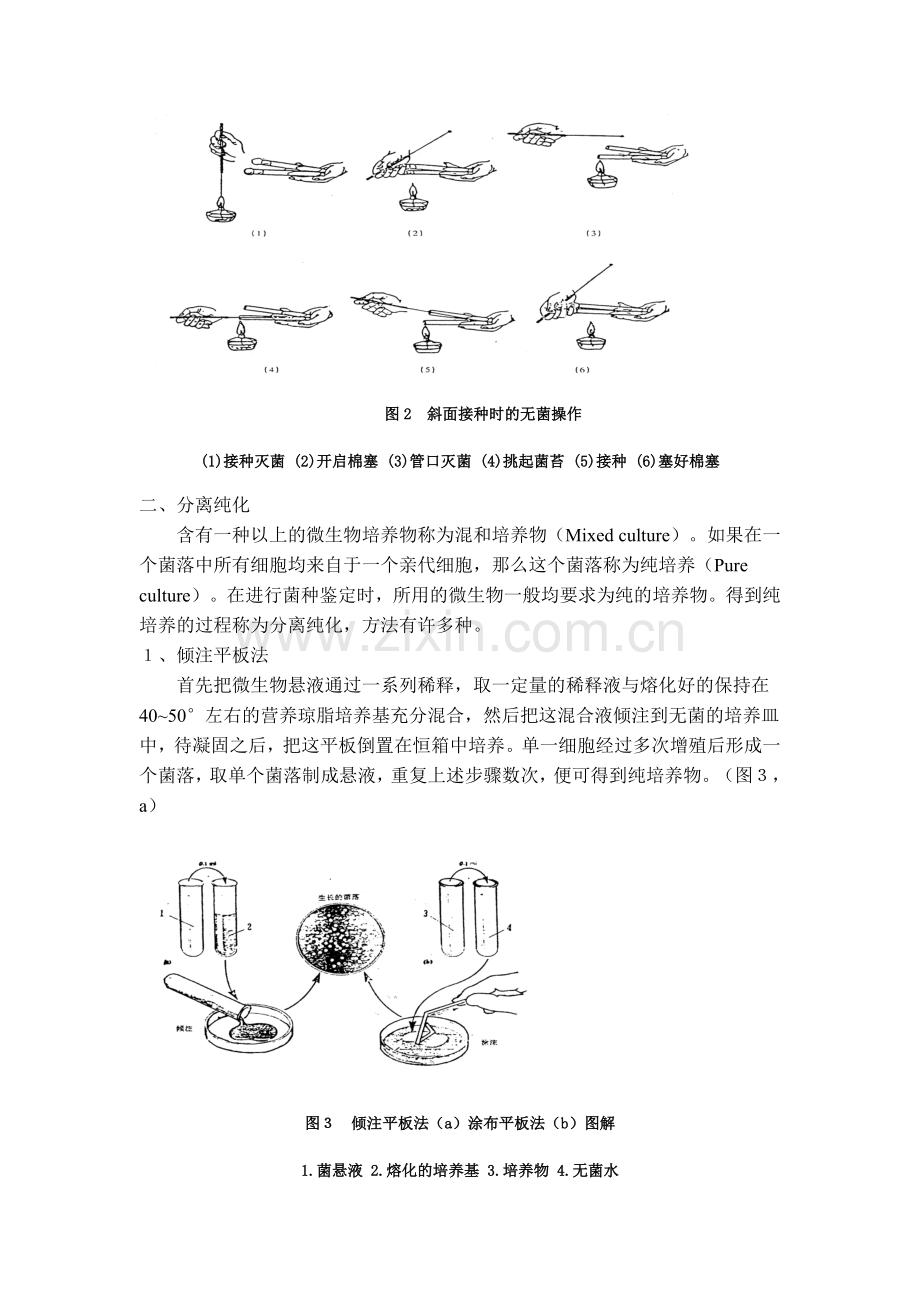 微生物的接种分离纯化与培养方法.doc_第3页