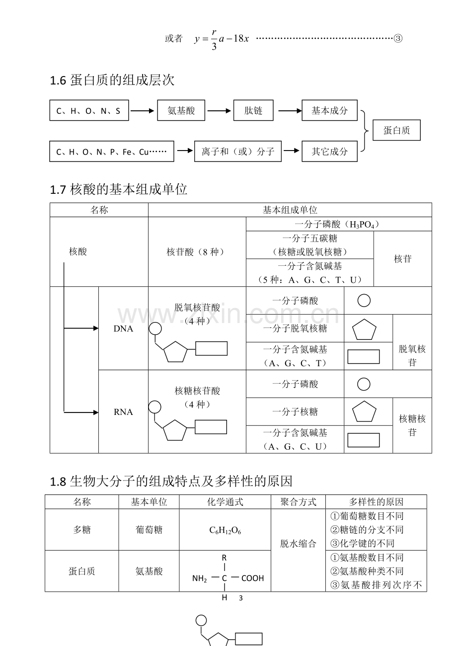 高中生物知识结构网络图.doc_第3页