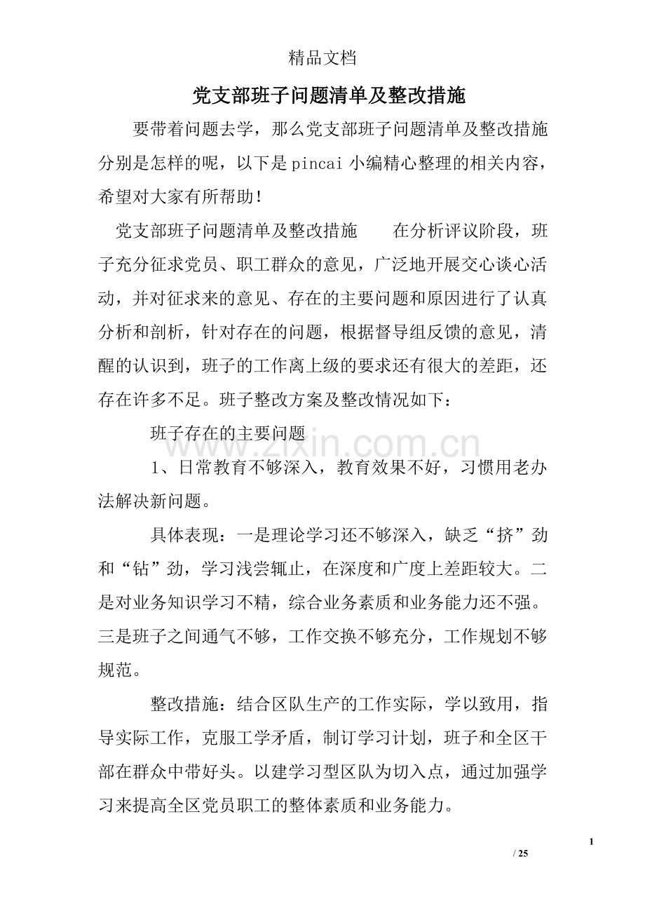 党支部班子问题清单及整改措施.doc_第1页