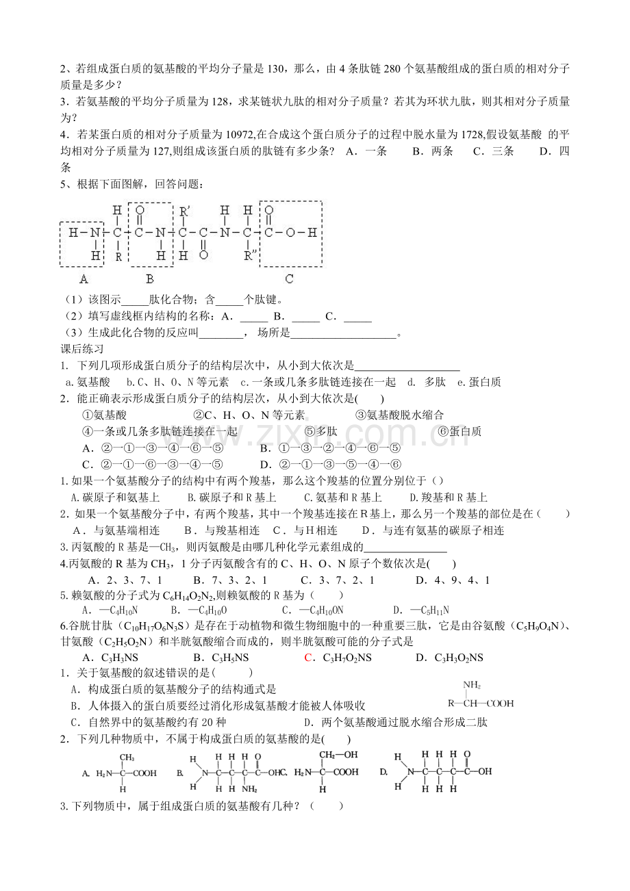 高中生物蛋白质计算练习题.doc_第2页