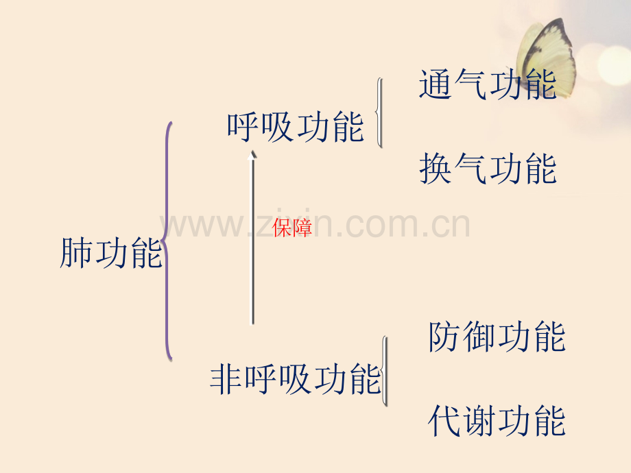 肺功能检查的操作流程、目的及注意事项-7月.ppt_第2页