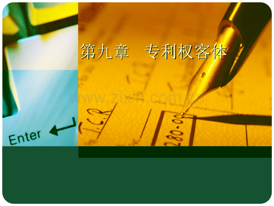 第九章-专利权客体.ppt_第1页