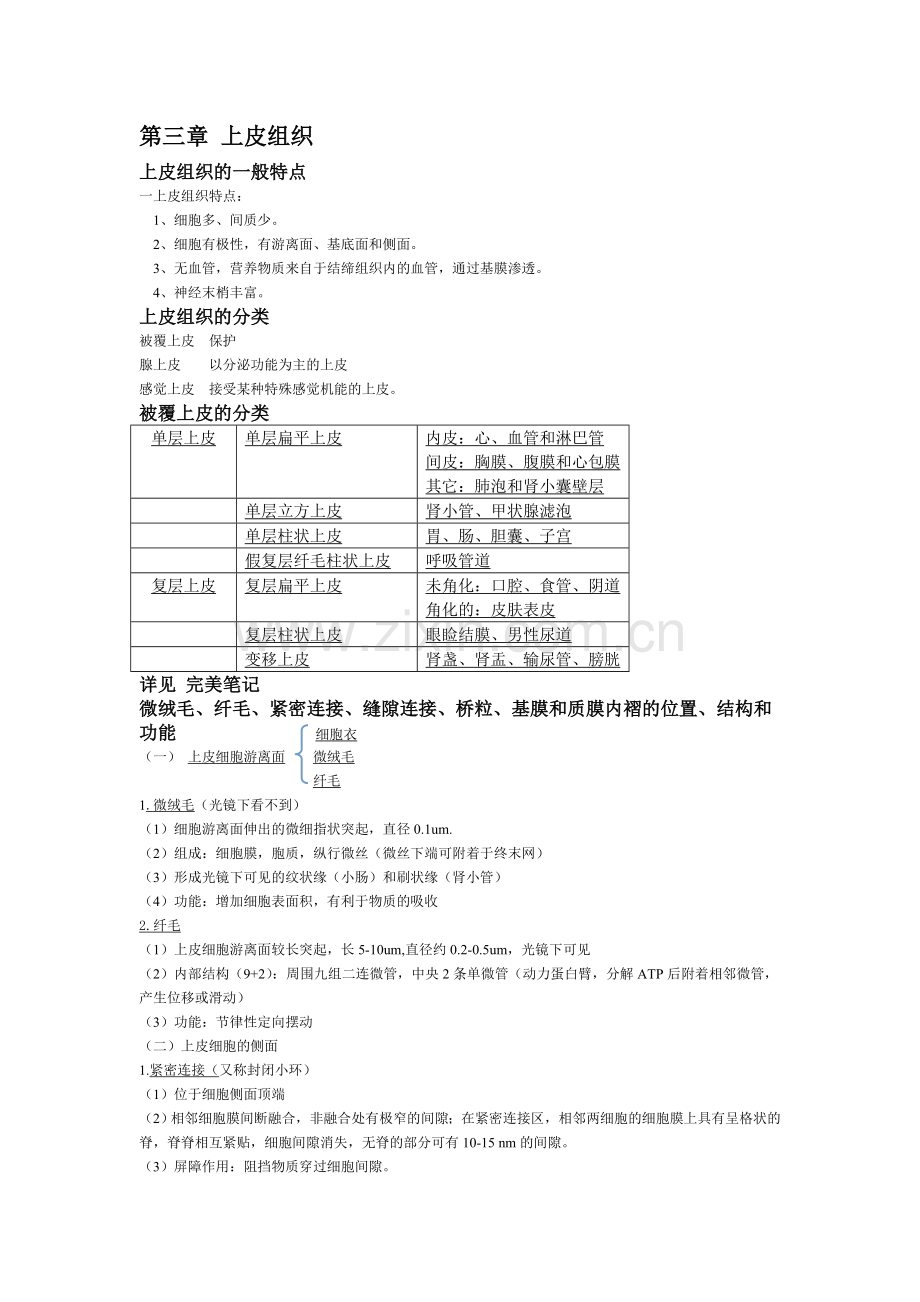 组织学与胚胎学重点整理.doc_第2页