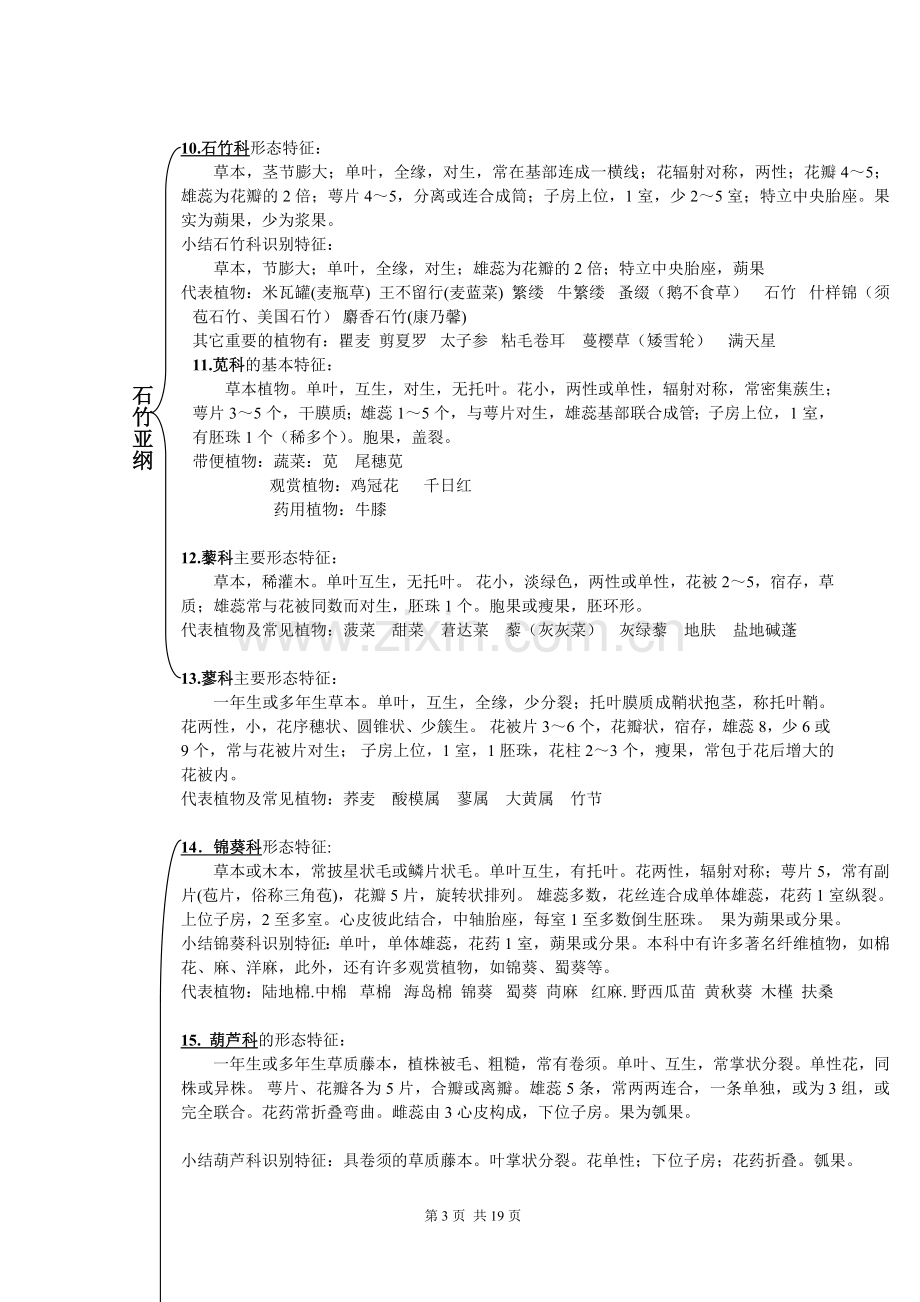 植物学各科特征总结.doc_第3页