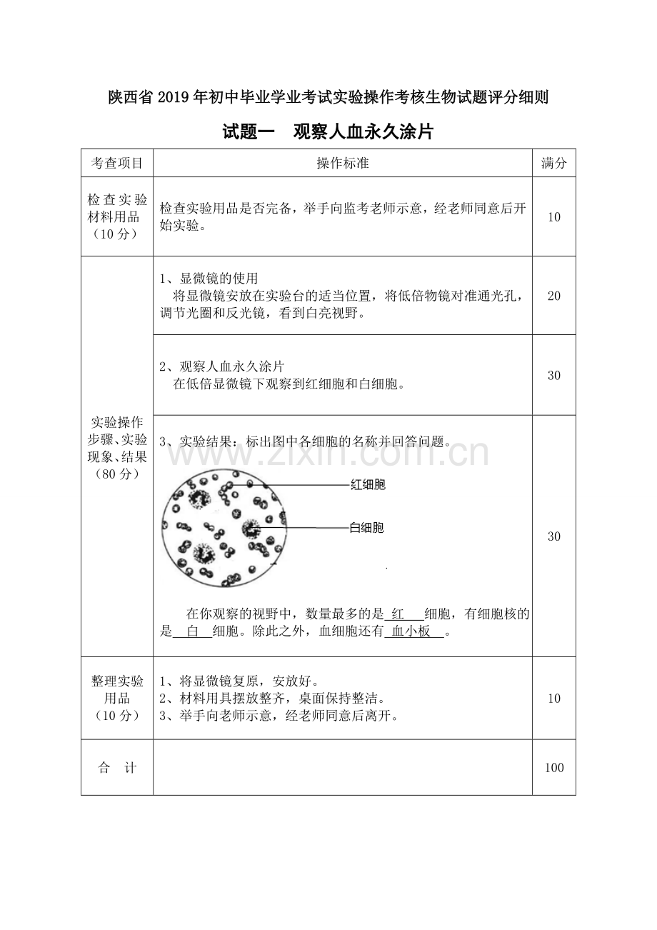 陕西省2019年初中毕业学业考试实验操作考核生物试题评分细则.doc_第1页