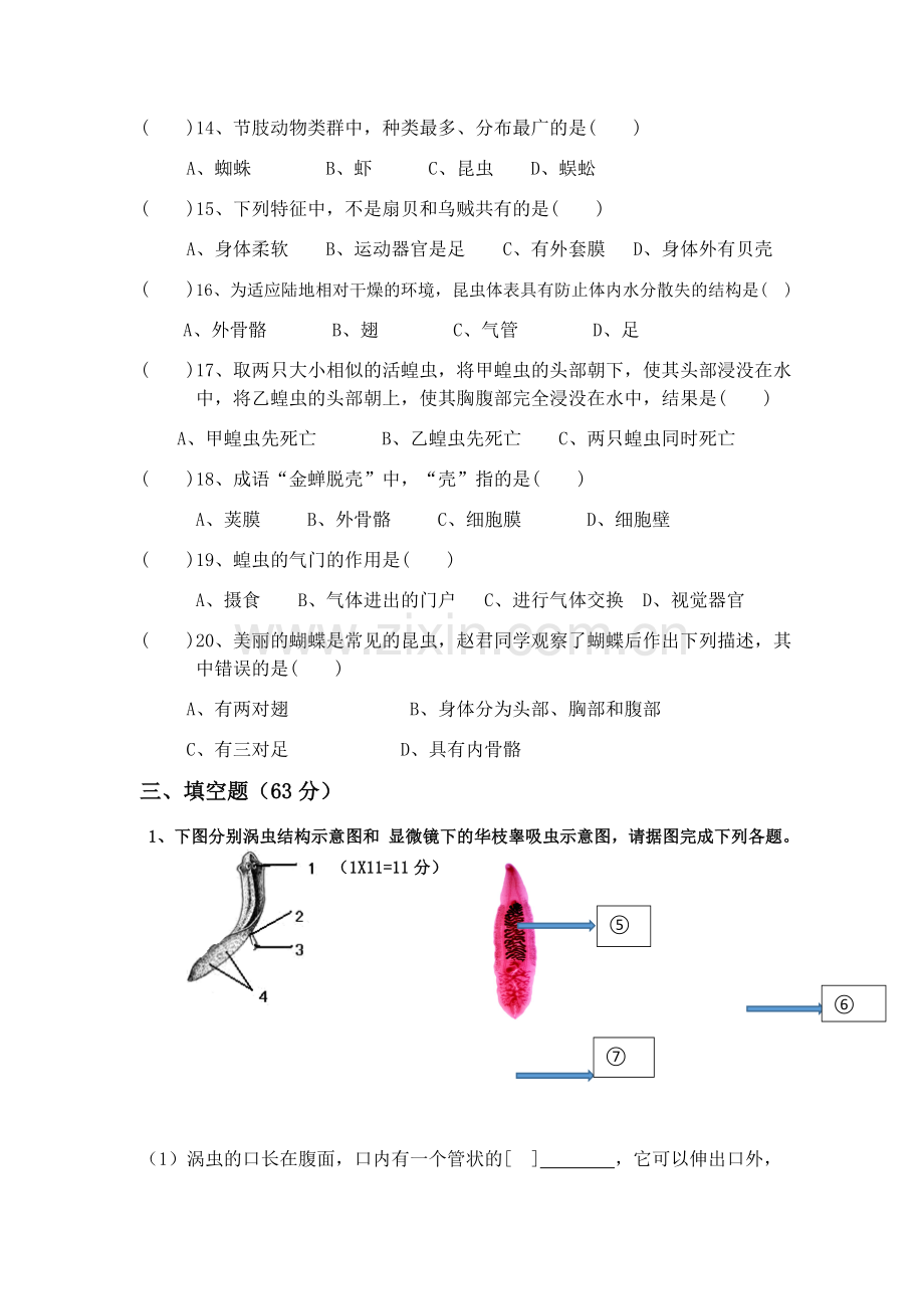 八年级上册生物学第一章一、二、三节练习题.doc_第3页