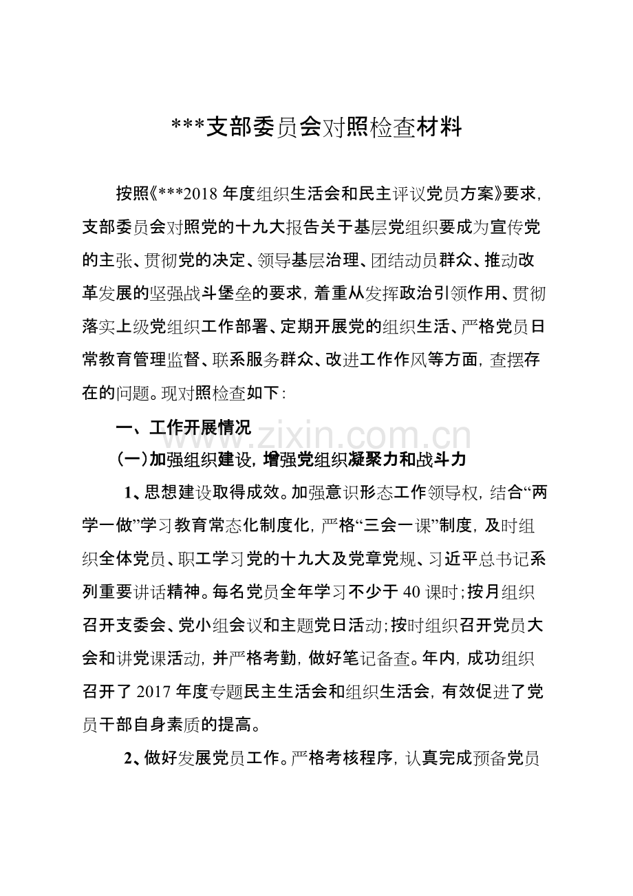 党支部委员会对照检查材料-共11页.pdf_第1页