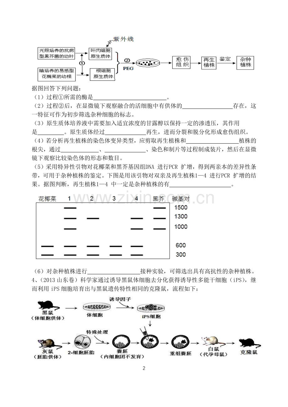 高三生物选修3《现代生物科技专题》高考真题汇编习题及答案(word).doc_第2页