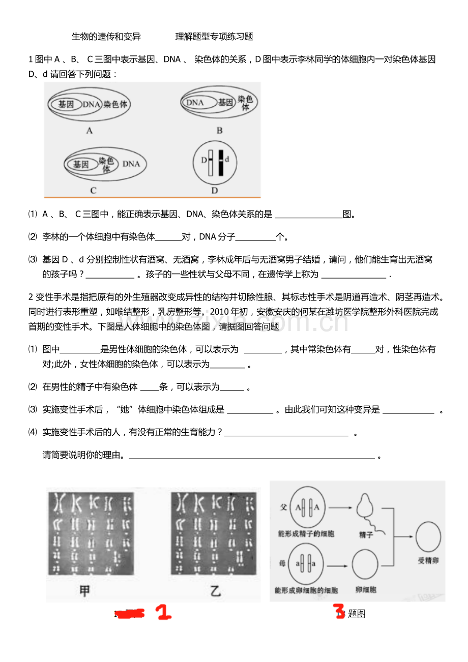 八年级下册第二章生物的遗传和变异专项练习.doc_第1页