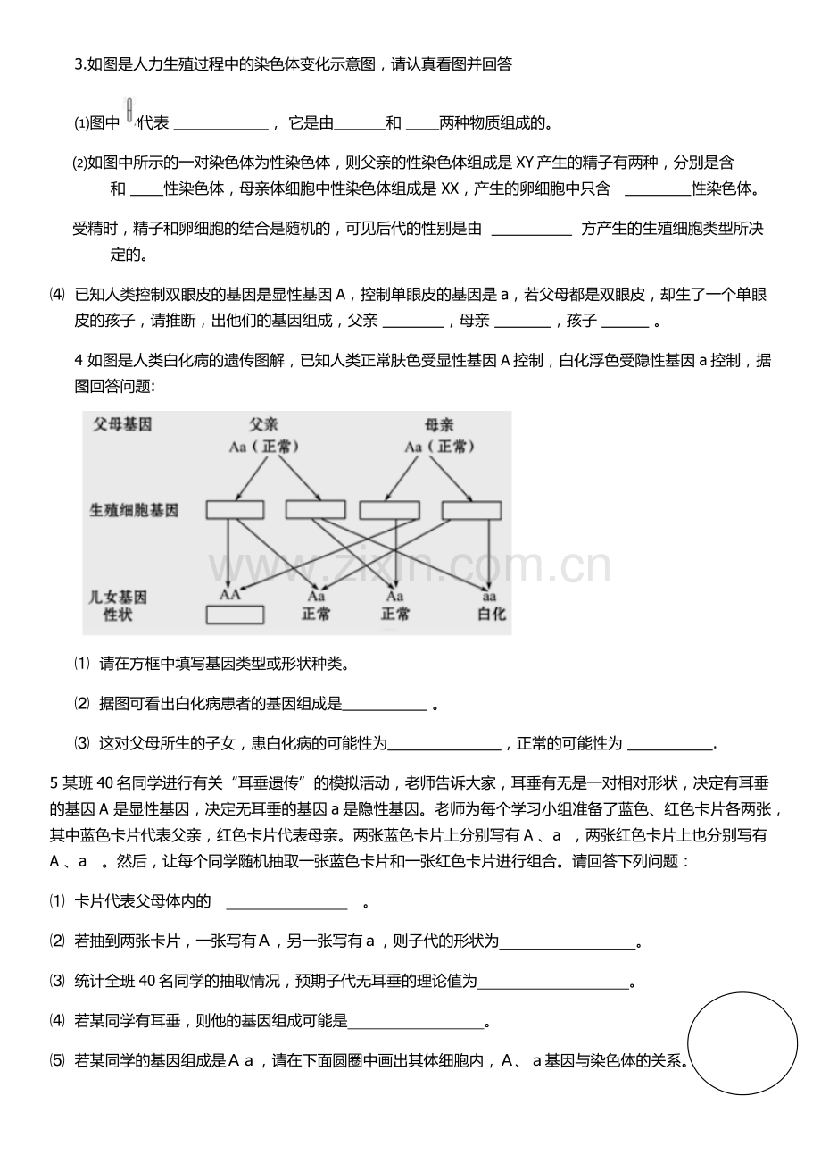 八年级下册第二章生物的遗传和变异专项练习.doc_第2页