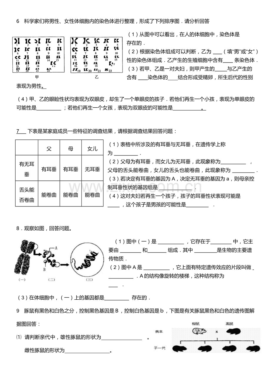 八年级下册第二章生物的遗传和变异专项练习.doc_第3页