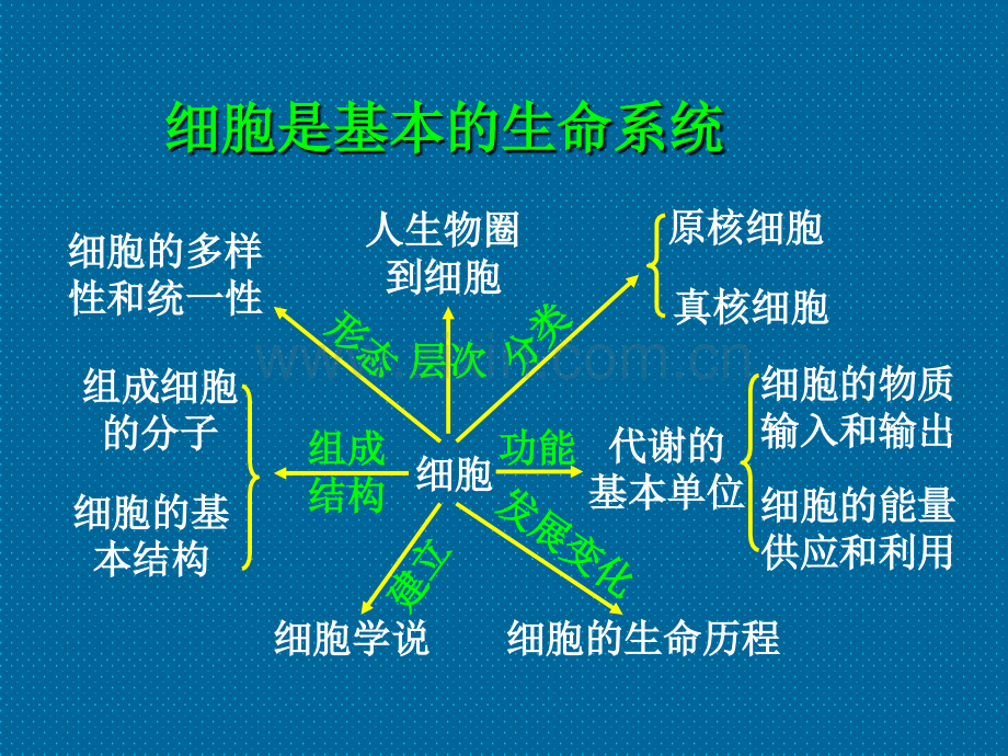 高中生物必修一全册课件.ppt_第3页