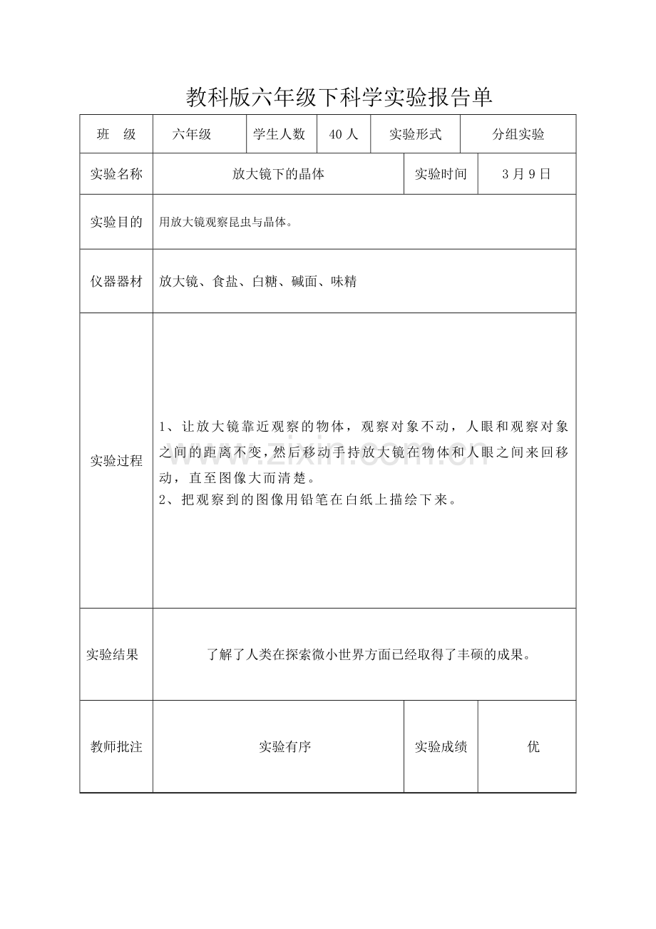 教科版六年级下科学实验报告单新版.doc_第1页