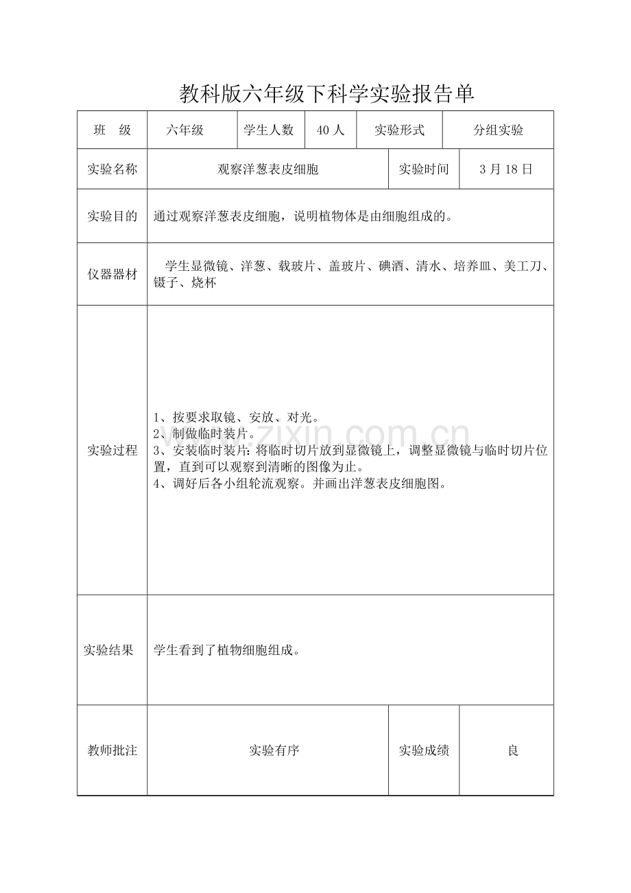 教科版六年级下科学实验报告单新版.doc_第3页