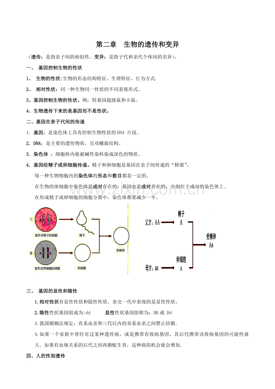 八年级生物上册第七单元复习提纲.doc_第2页