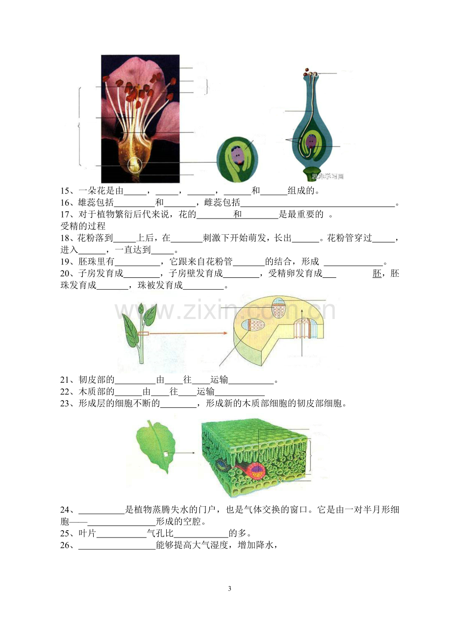 初中生物填图题及答案.doc_第3页